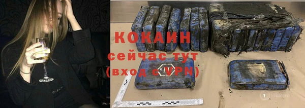 индика Коряжма