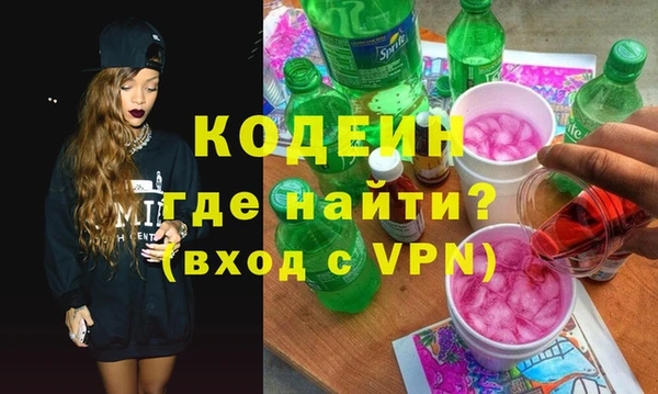индика Коряжма