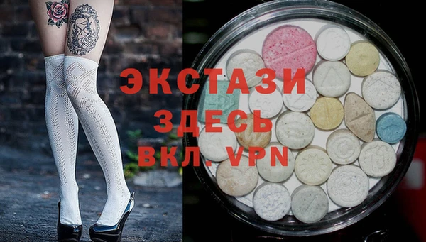 индика Коряжма