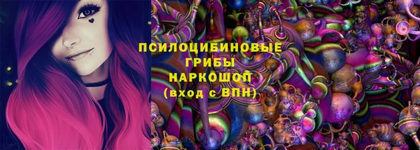 a pvp Краснослободск