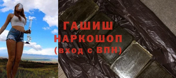 индика Коряжма