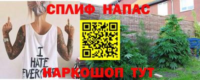 гашик Кандалакша