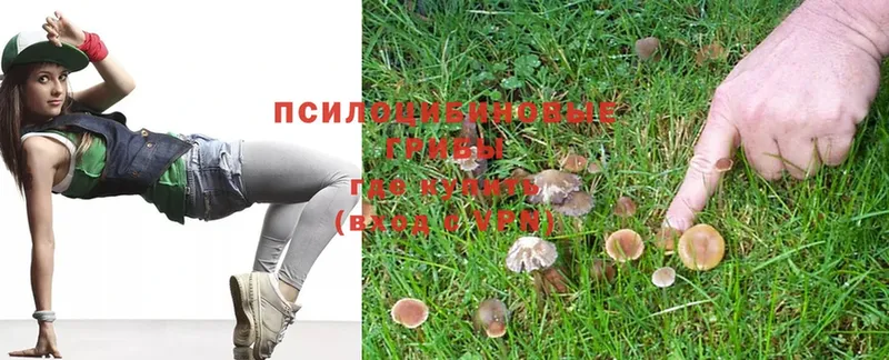 Псилоцибиновые грибы GOLDEN TEACHER  даркнет сайт  Учалы 